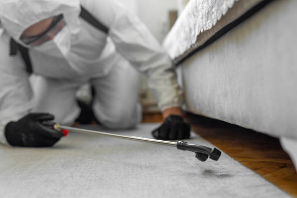 Professional Pest Control technician working in Crowley County County, CO